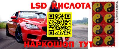 крисы Обнинск