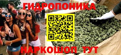 крисы Обь